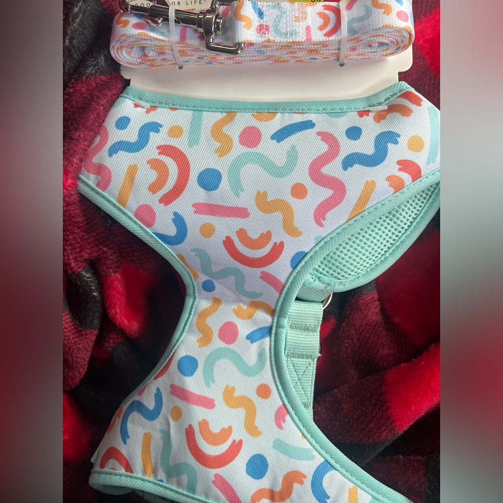 Dog harness and leash matching set